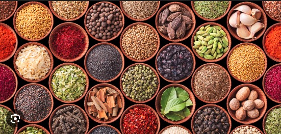 Banner do parceiro PRO-CABO FORNECEDORA DE NAVIOS LTDA